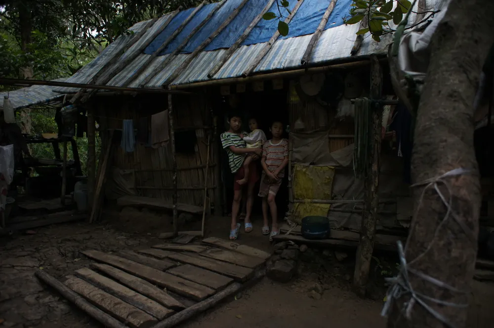 Cuộc sống giữa rừng sâu núi thẳm ảnh 11